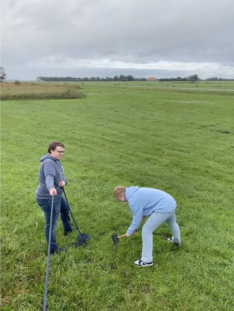 Eine Person schlägt mit einem Hammer einen großen Hering in die Wiese. Eine zweite Person hält eine Leine auf Spannung.